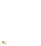 AXOR-HG-AXOR-Montreux-Handtuchhaken-Brushed-Gold-Optic-42137250 gallery number 1